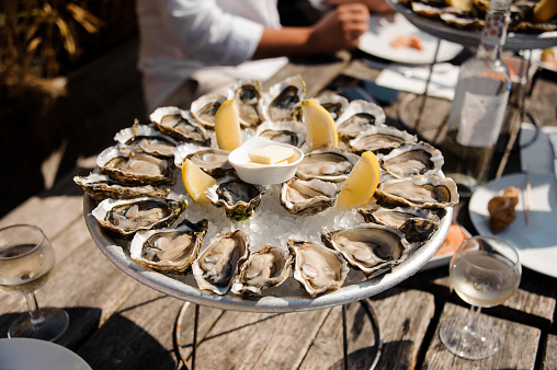 oysters in bordeaux