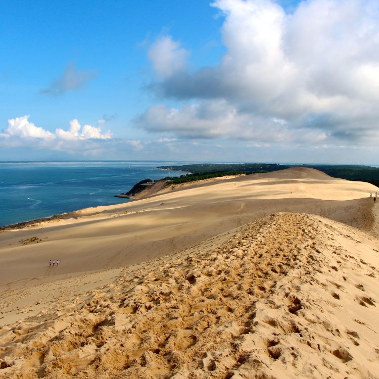 Bordeaux sand dune