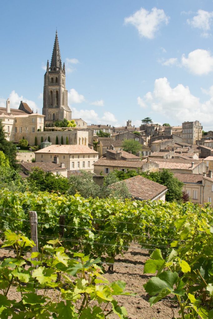 Saint Emilion vineyard