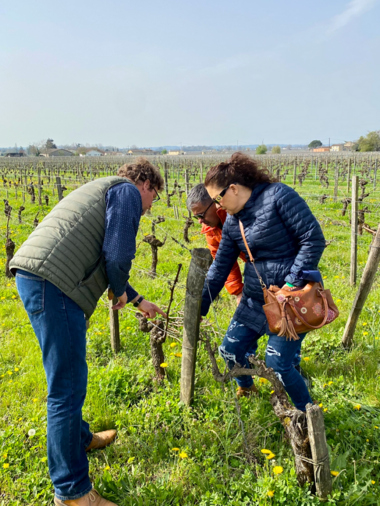 visit in a winery in saint Emilio