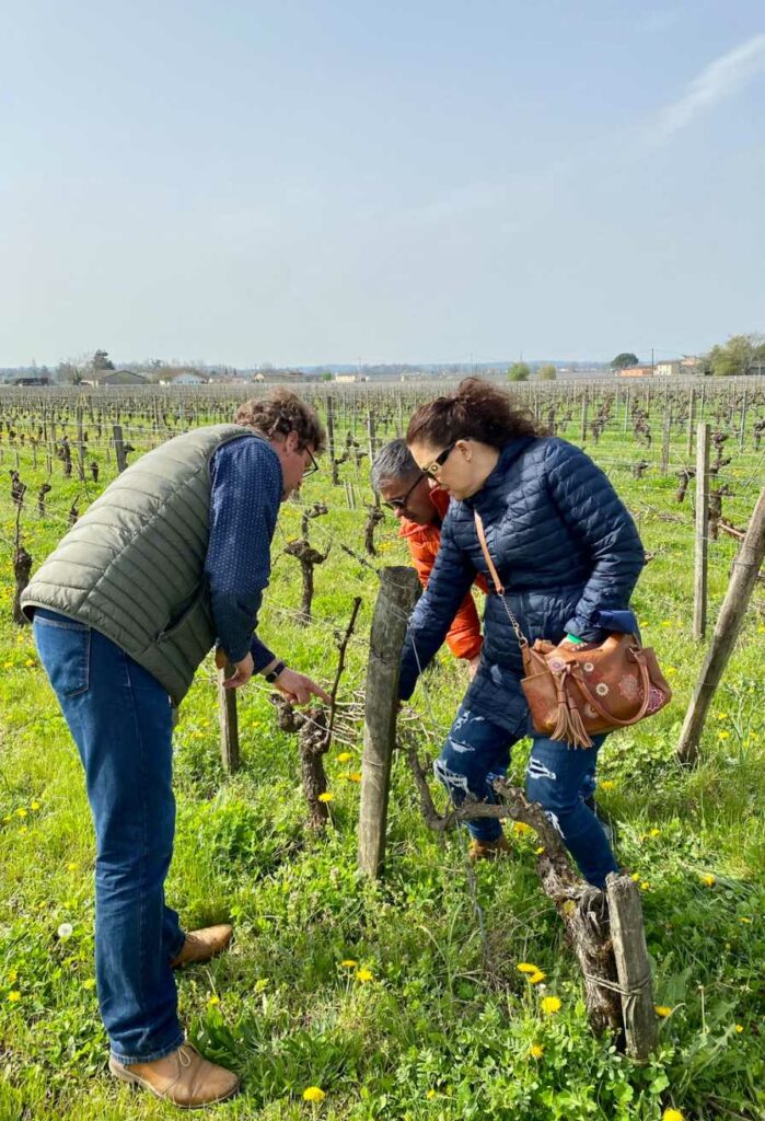 tour in a winery in Saint Emilio